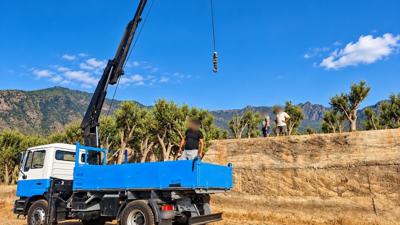 Grúa elevando carga en una finca